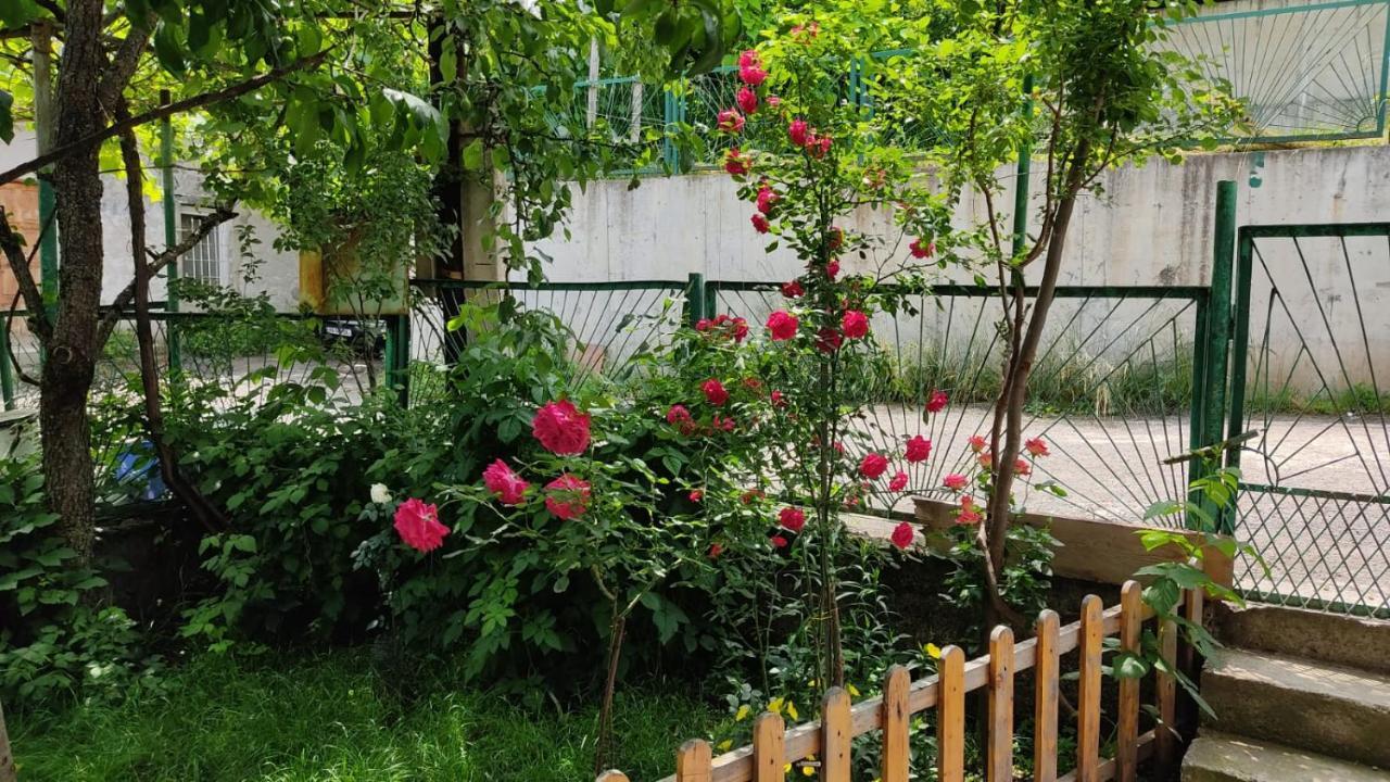 Отель Borjomi Nest Экстерьер фото